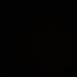 Meet your Posher, Peyton